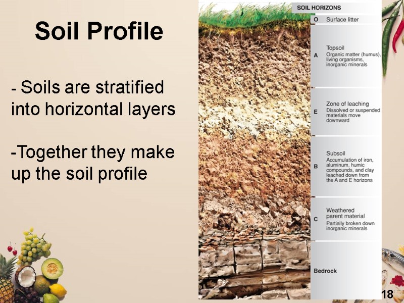 18 - Soils are stratified  into horizontal layers  Together they make up